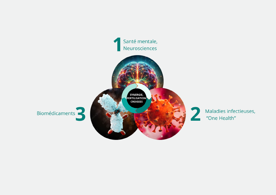 Les 3 axes d'excellence de Loire Val-Health